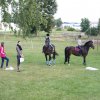 Ponyralley 150
